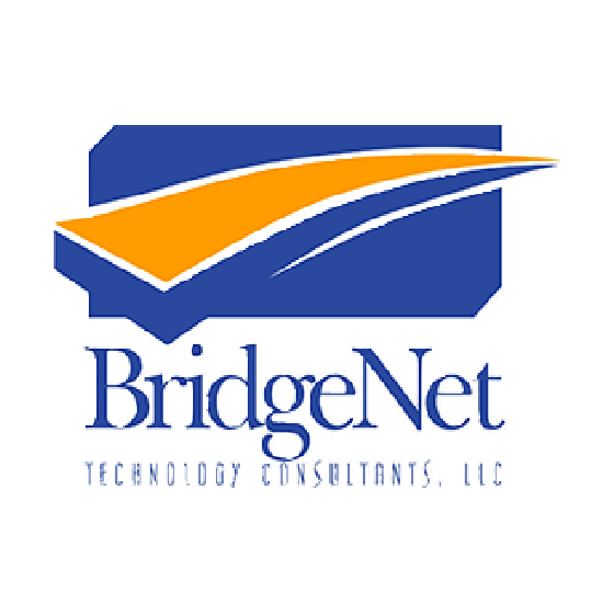 BridgeNet